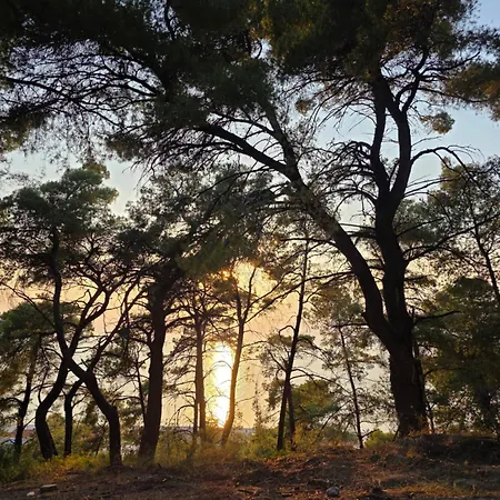 Oda ve Kahvaltı Filippos