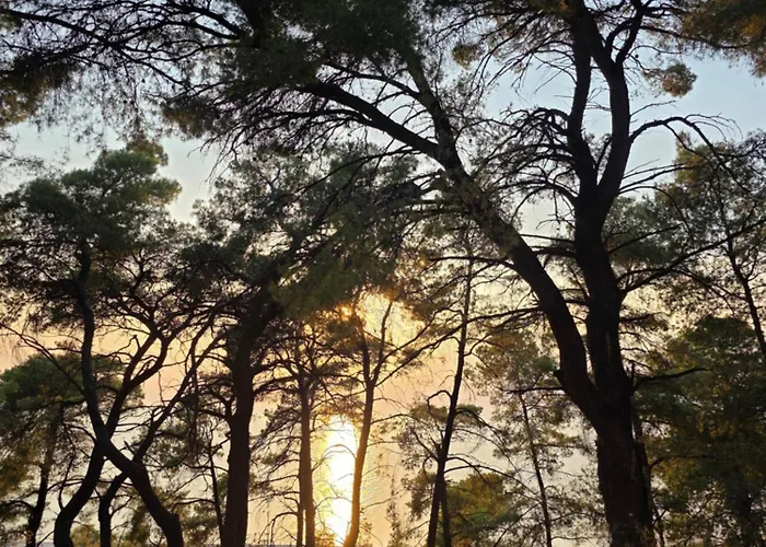 Bed & Breakfast Filippos